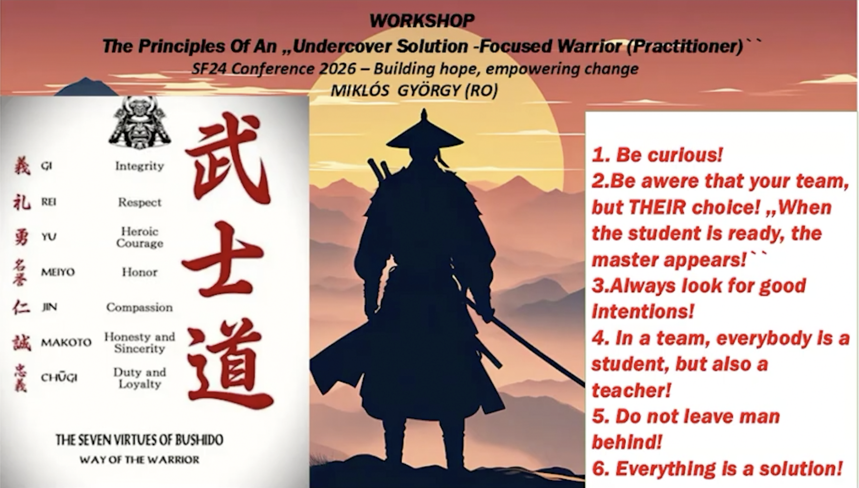 Principles of an Undercover Solution Focused Warrior